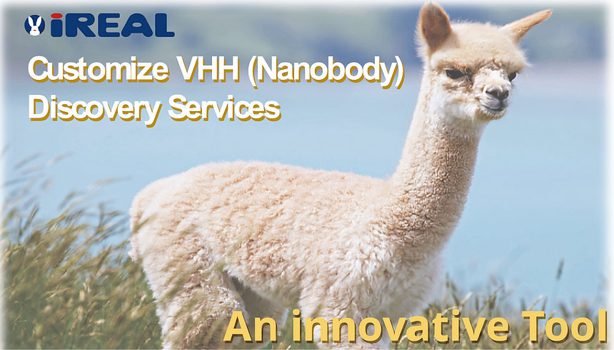 Customize VHH (Nanobody) Discovery Services