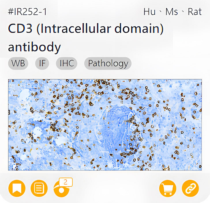 Markers of Immune cell related product IR252-1_CD3 (Intracellular domain) antibody page link