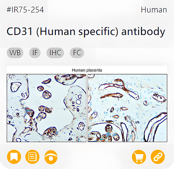 Markers of the Tumor Microenvironment related product IR75-254_CD31 (Human specific) antibody page link