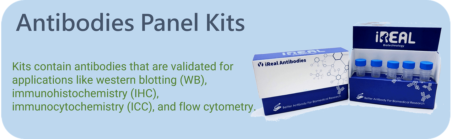 iRealbio antibodies panel kit