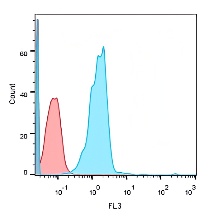 CD8 antibody