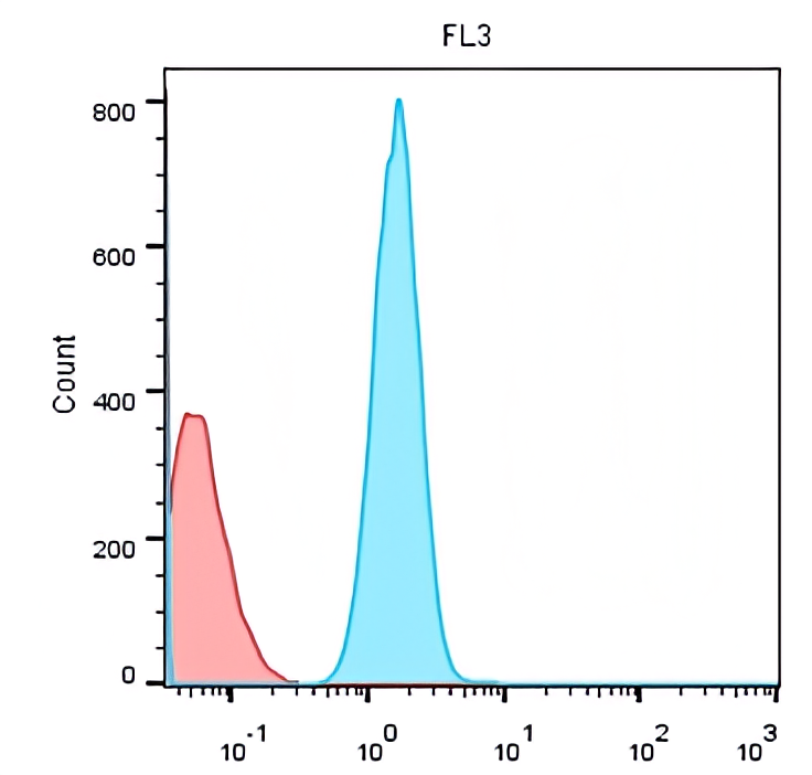 CD19 antibody