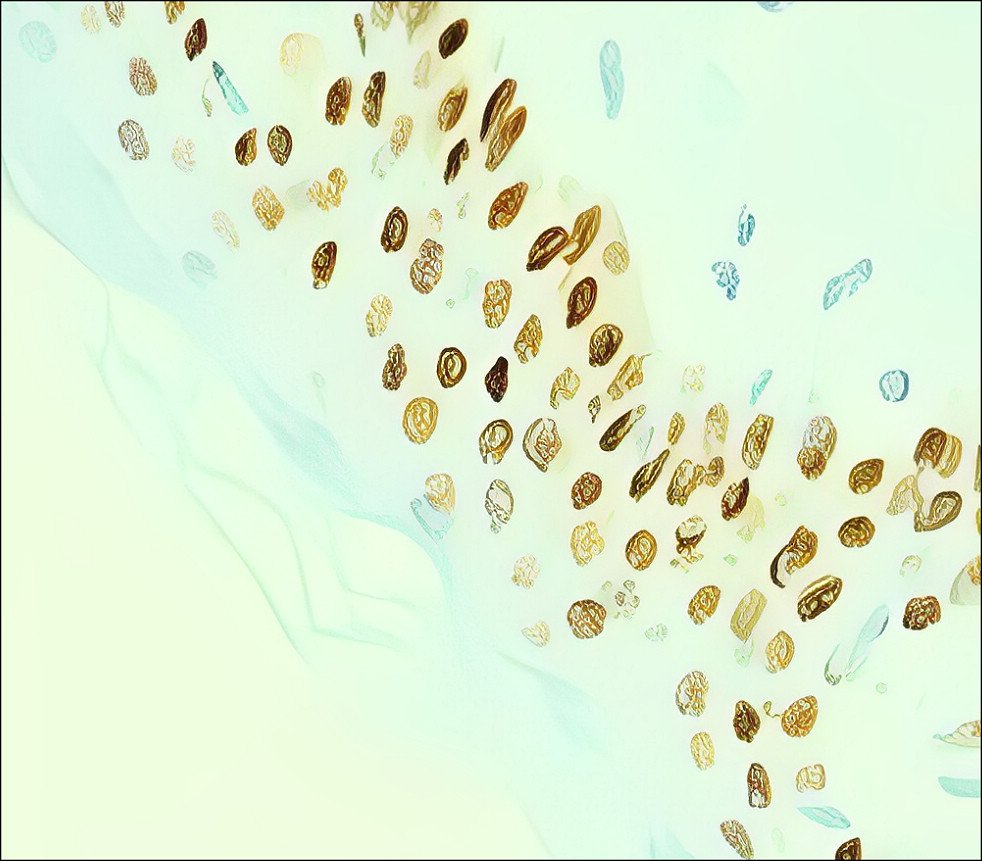 Customer feedback IR205-742 anti- p63 antibody IHC image