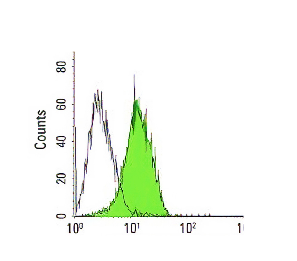 IRFS4042-Mouse anti-rabbit IgG, FITC Conjugated antibody