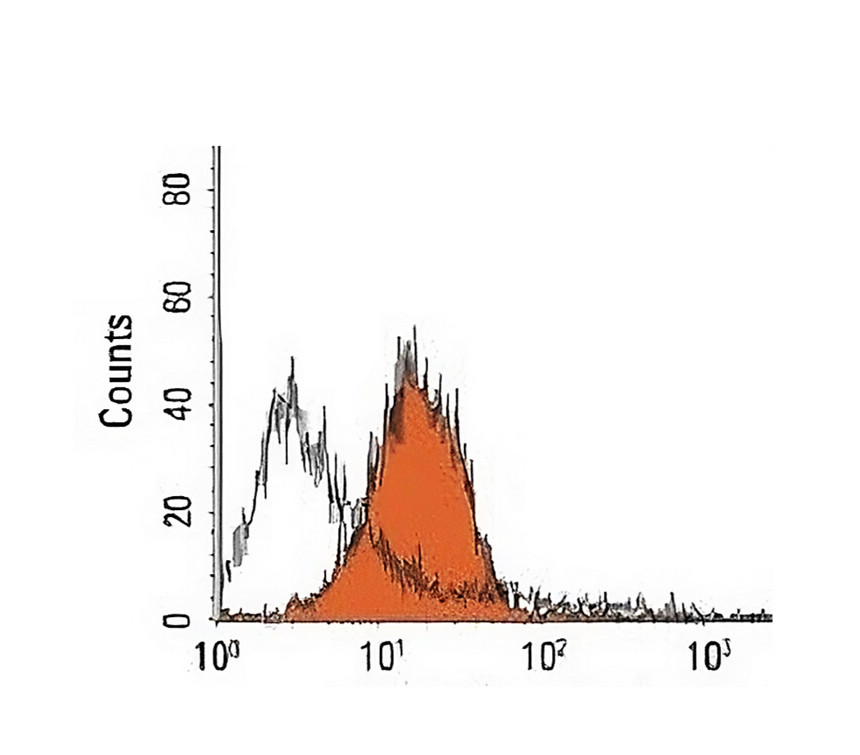 IRFS4052-Mouse anti-rabbit IgG, PE Conjugated