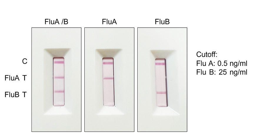 IRM037 Influenza A Virus Nucleoprotein, Capture antibody [BS771] 